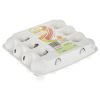 Simorgh Egg Pack of 20