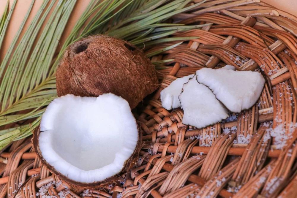 خواص نارگیل برای کودکان