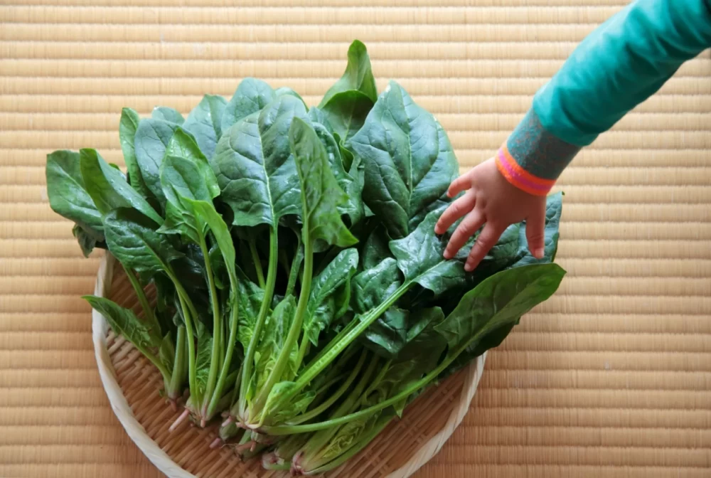اسفناج برای کودکان
