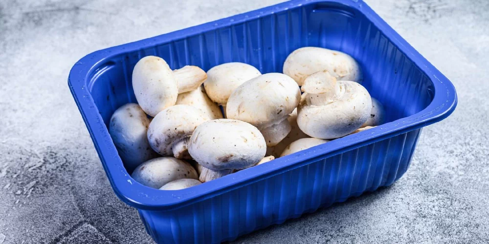  رنگ آبی برای ظروف قارچ 