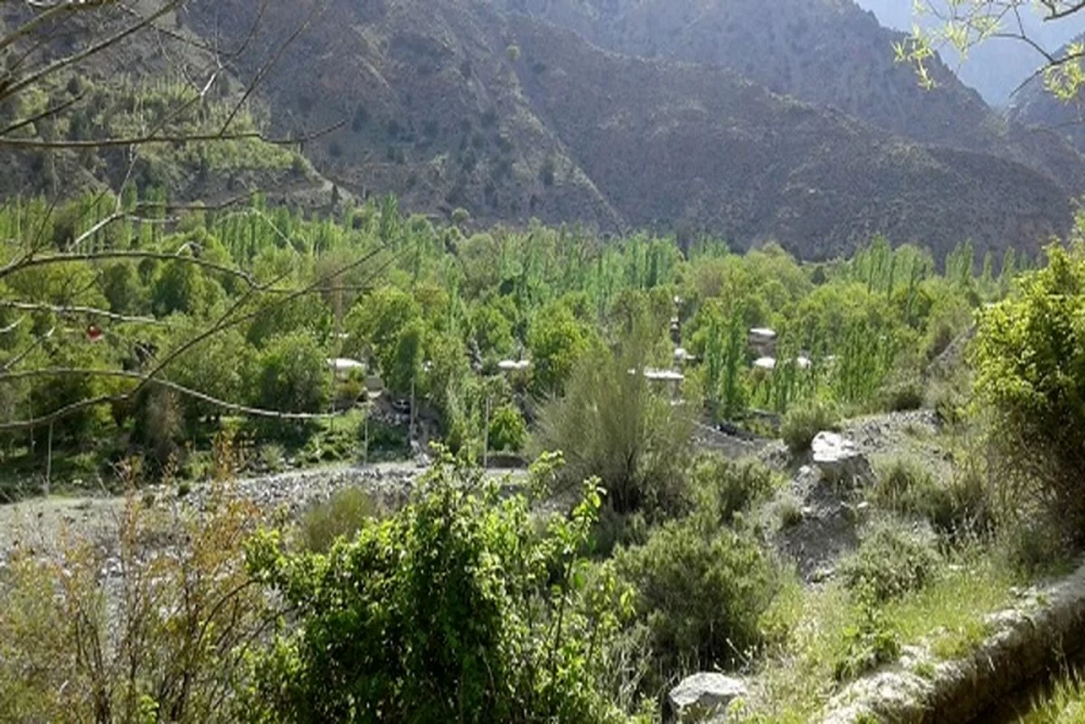 گردشگری در آبشار دلفارد
