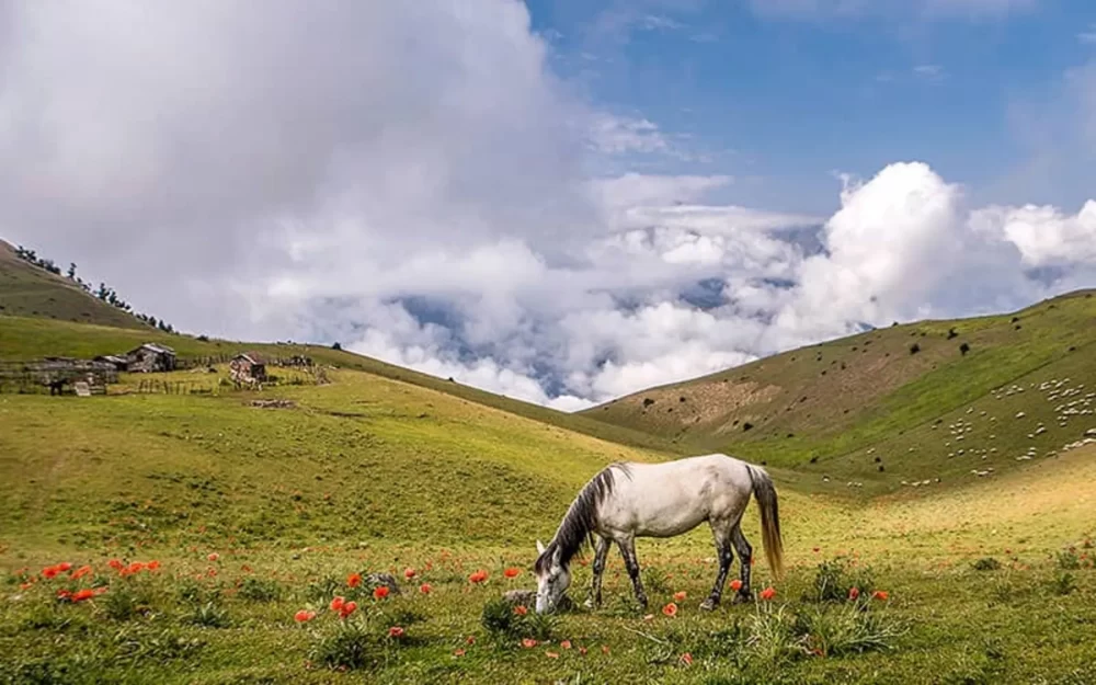 سوباتان کجاست ؟