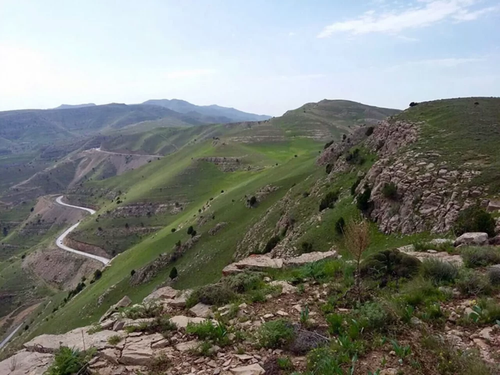 حیات وحش پارک ملی تندوره
