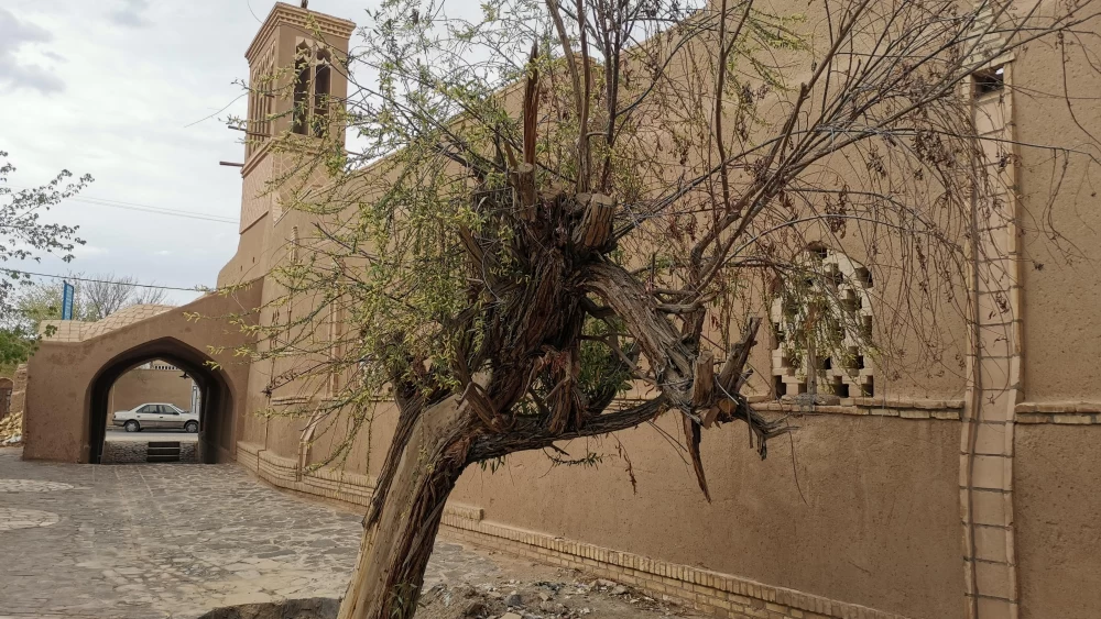 باغ مدرسی مهریز