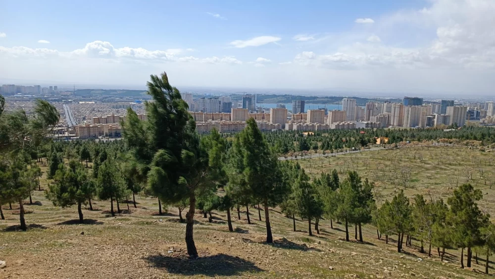 امکانات پارک جنگلی لتمال