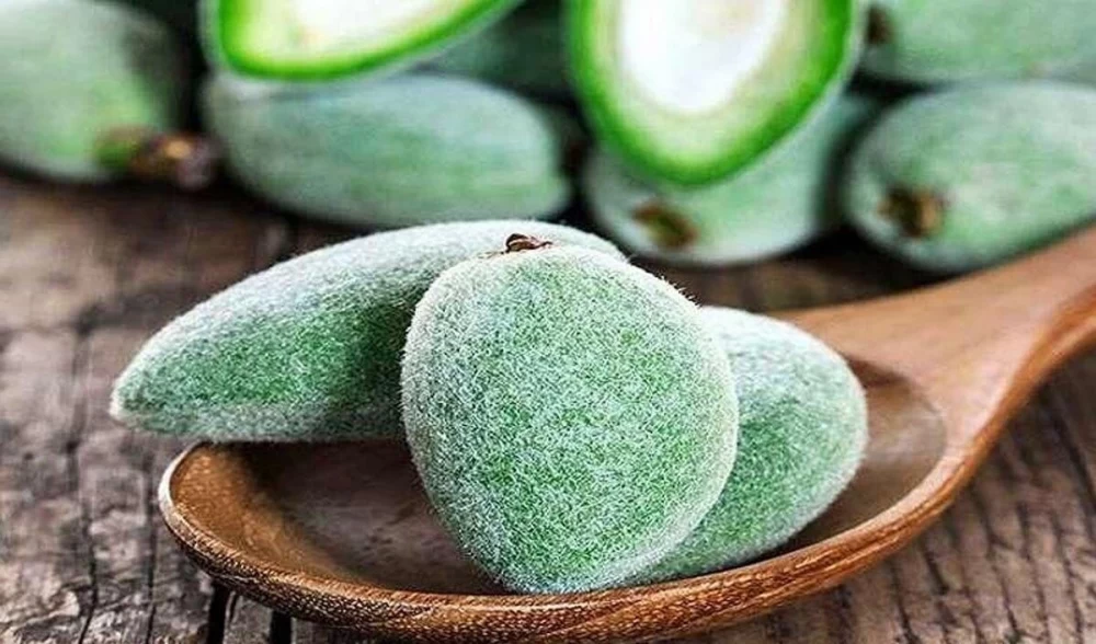 خواص چغاله بادام