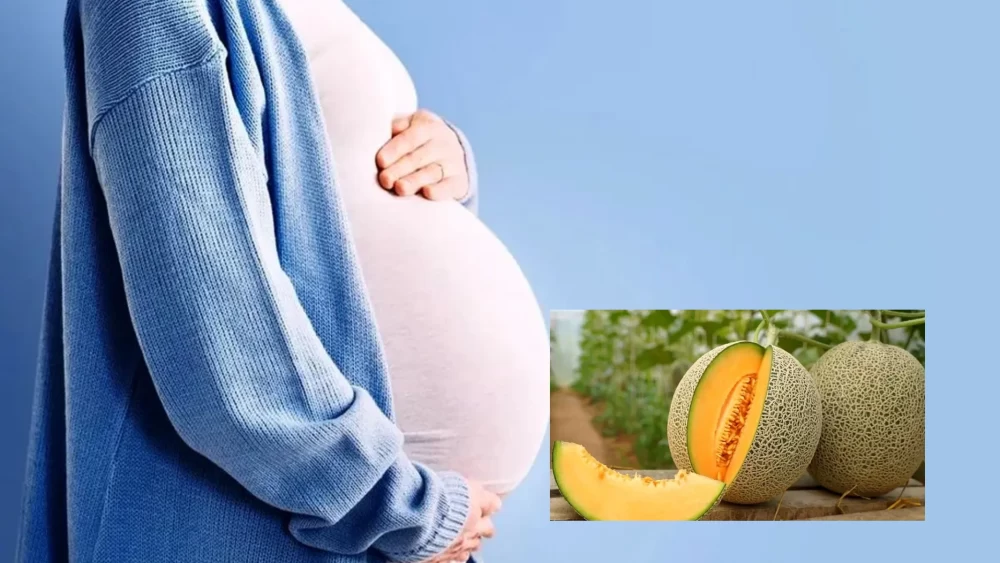 خواص میوه ملون برای رشد جنین
