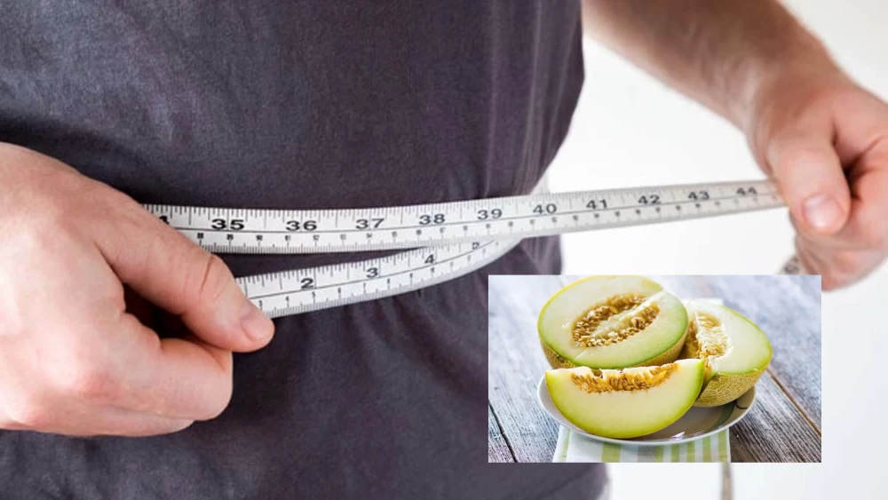 فواید طالبی در کاهش وزن