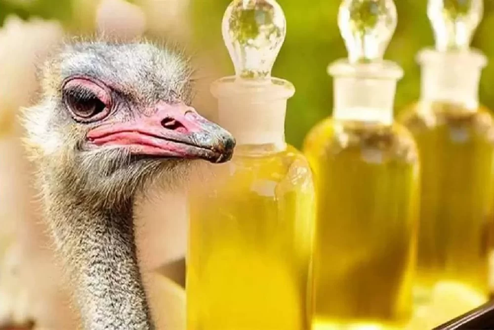 روغن شترمرغ