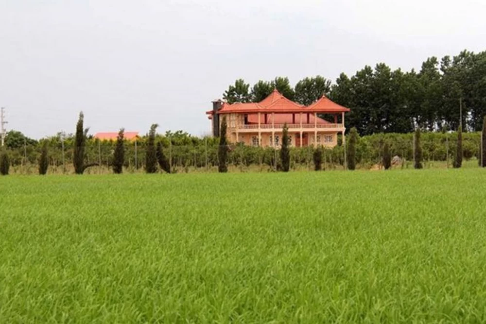 ساخت خانه در زمین کشاورزی