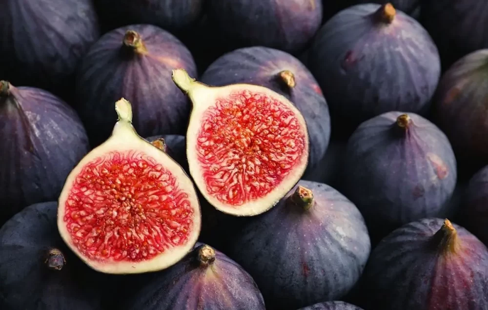 خاصیت سرکه انجیر