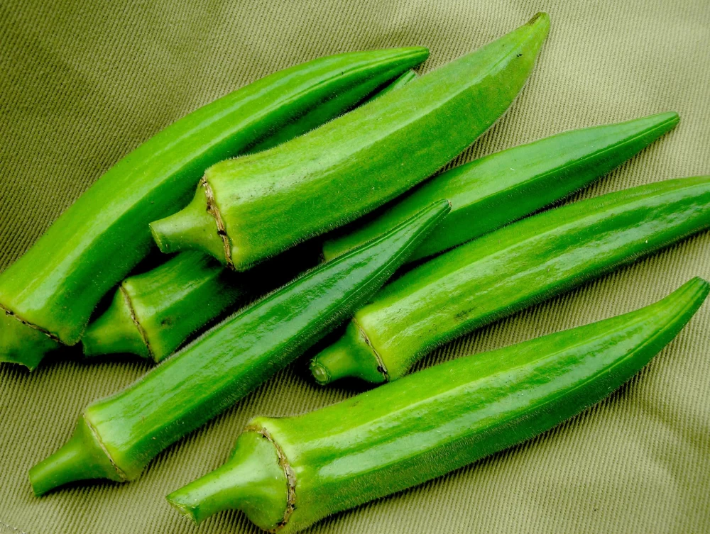 خواص آب بامیه
