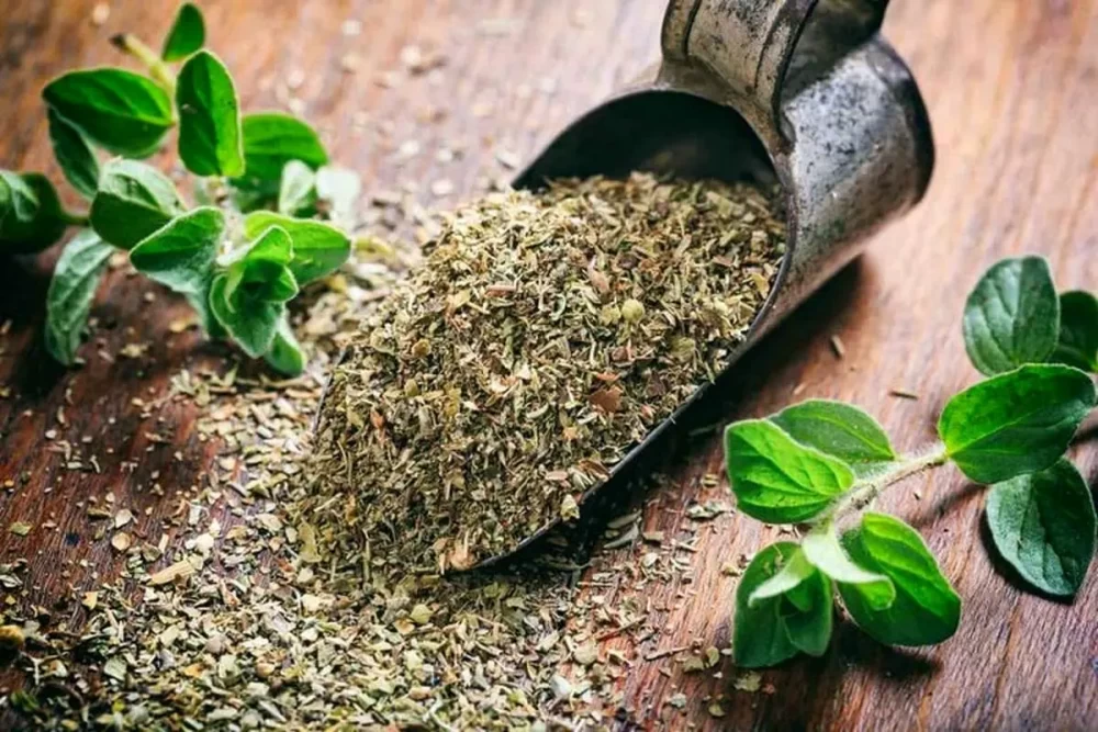 نحوه استفاده از گیاه تیول