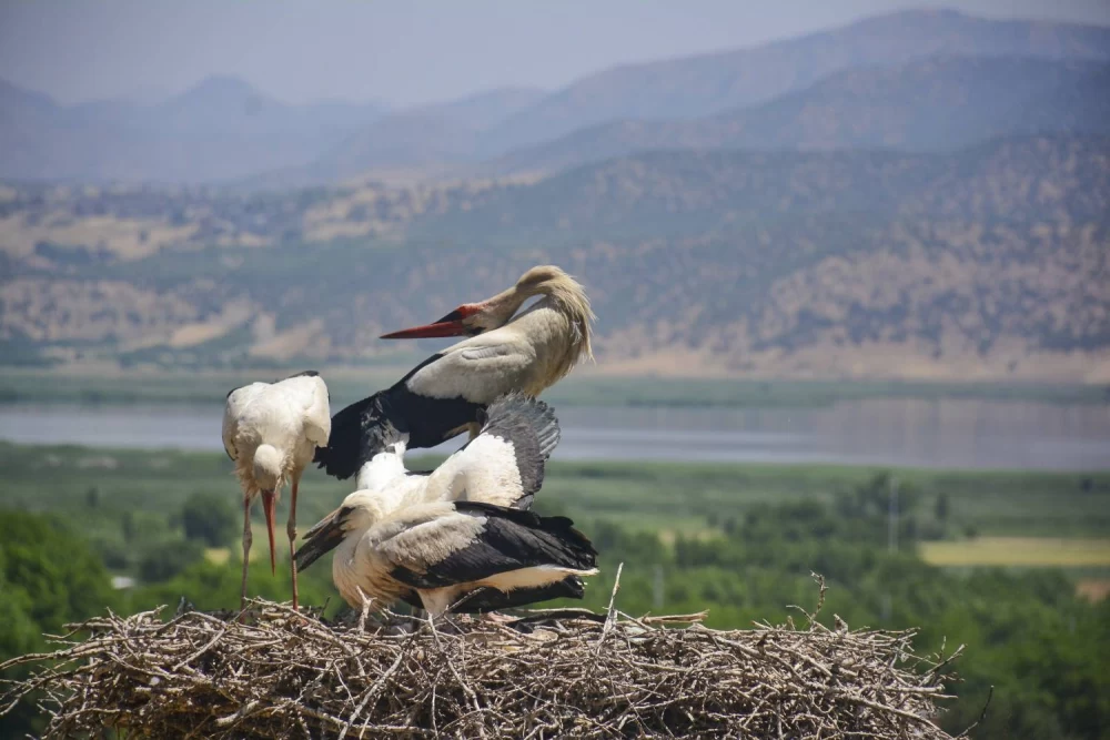 بهترین زمان سفر به روستای دره تفی