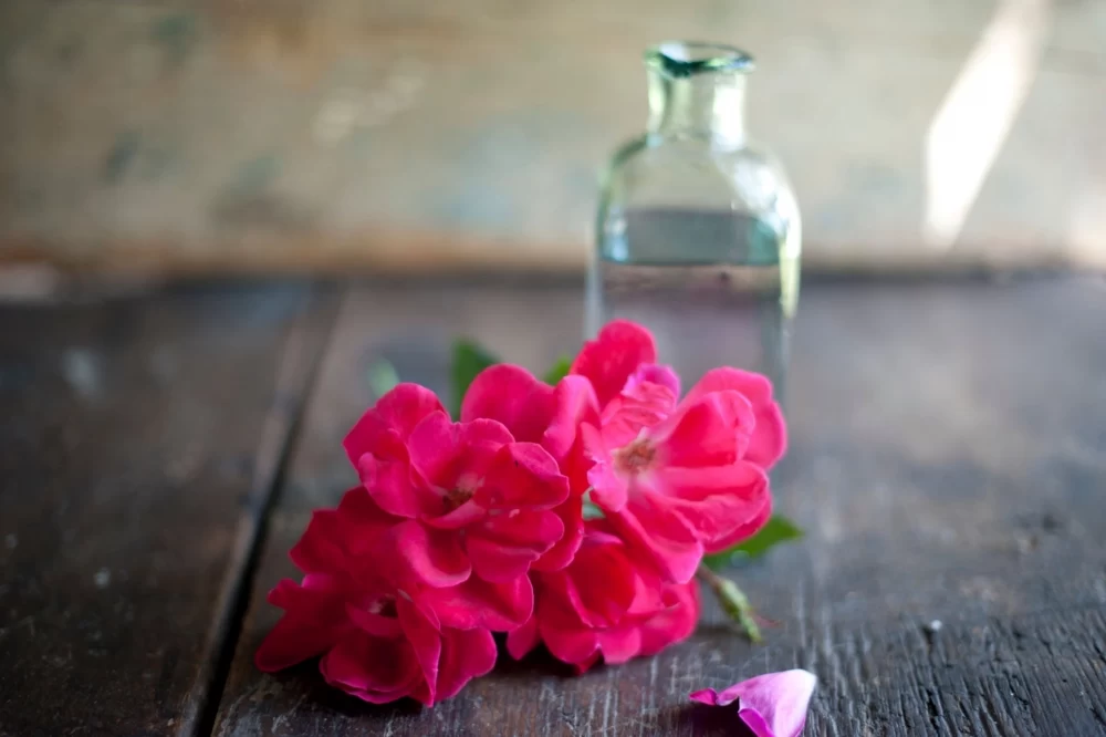 فواید گلاب برای سلامتی