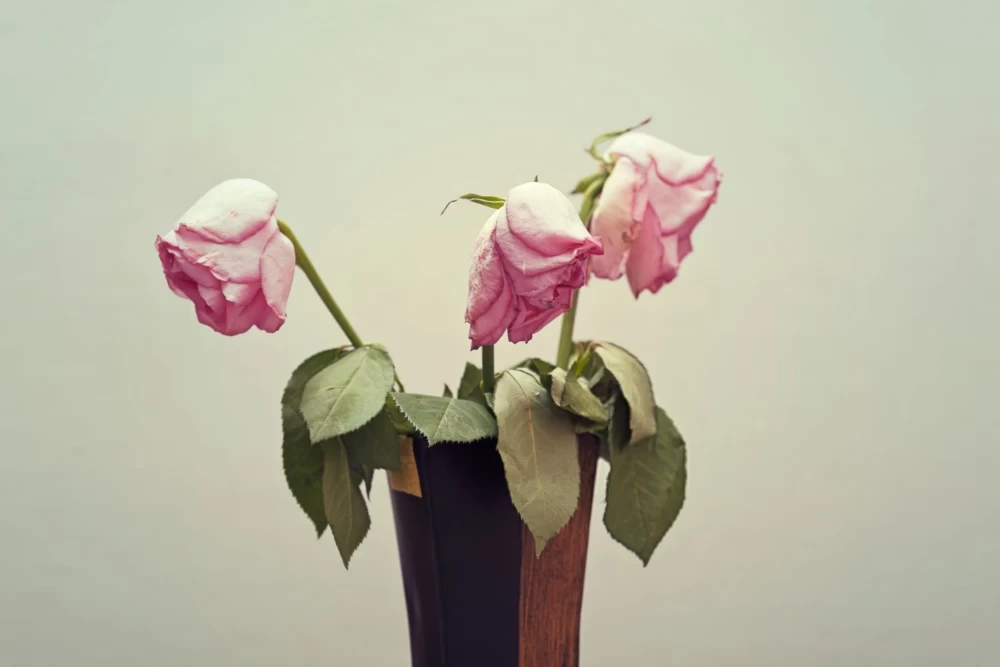 علت انرژی منفی در خانه