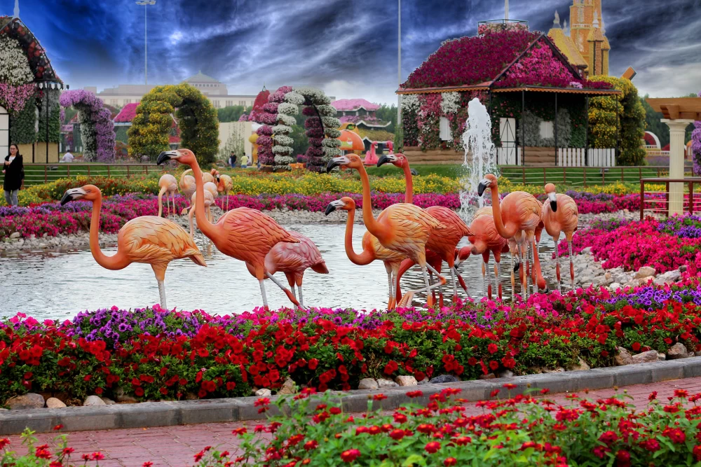 میراکل گاردن