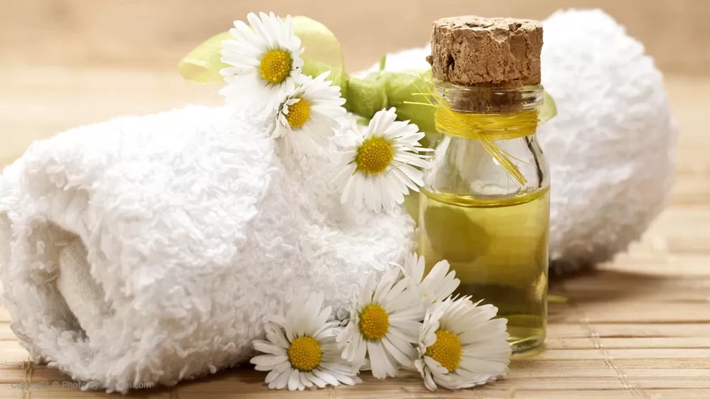 نحوه استفاده از بابونه