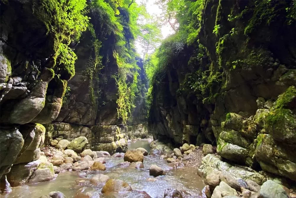 تنگه دار نوشهر 