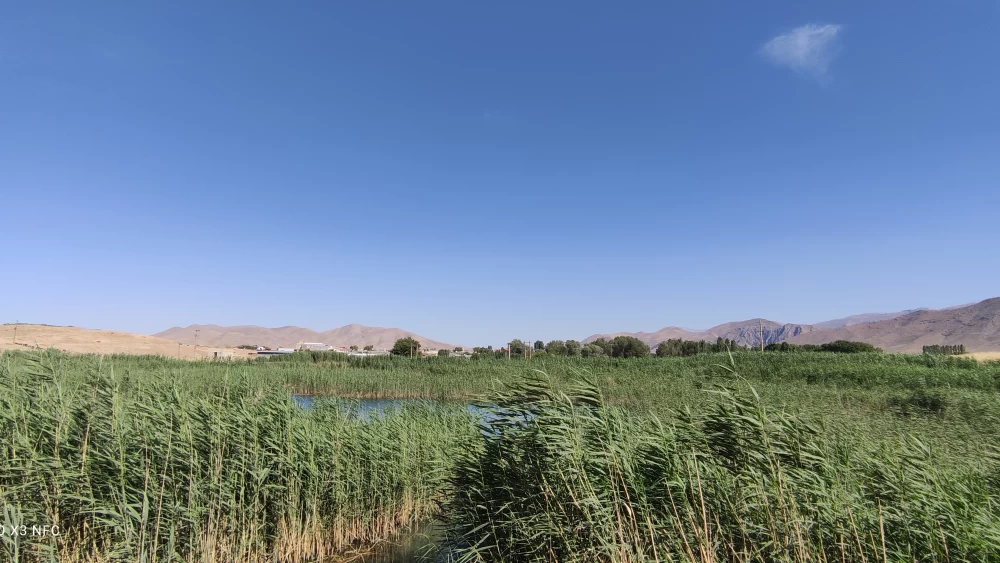 سراب ماران