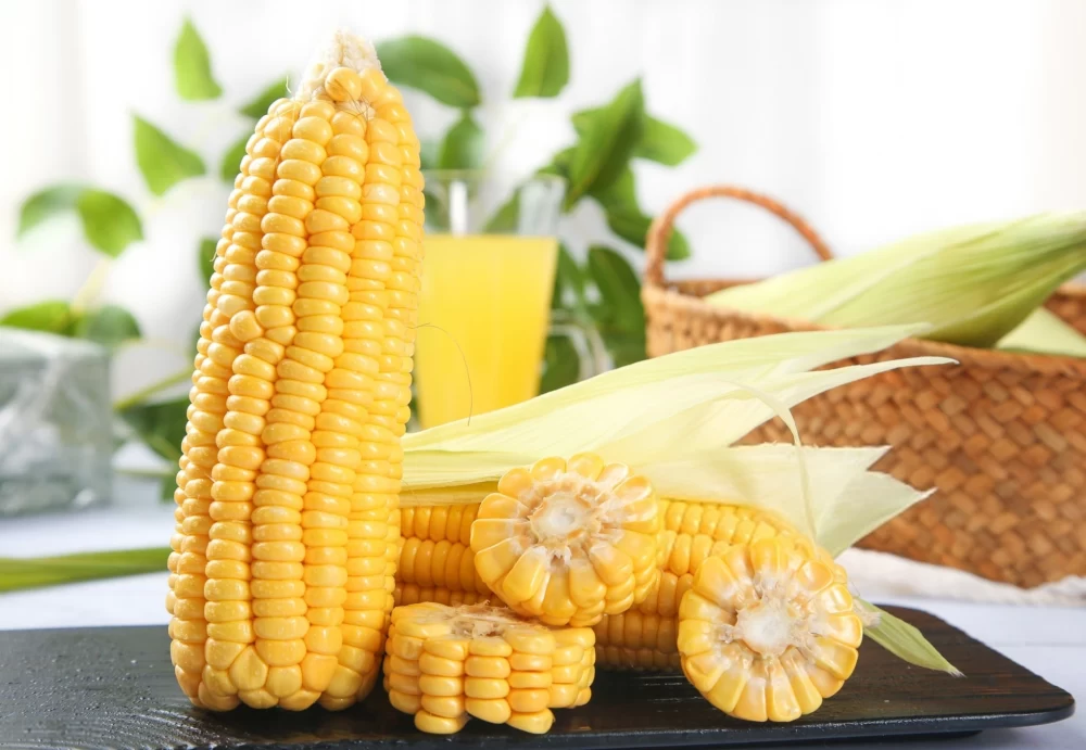 ذرت و فواید آن برای معده