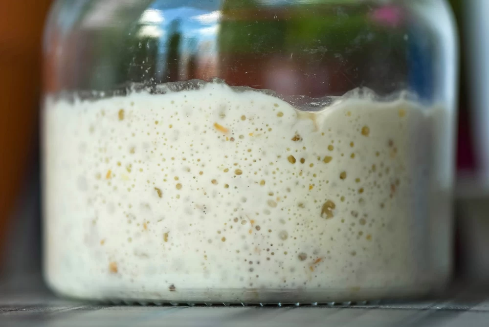نگهداری از خمیر مایه