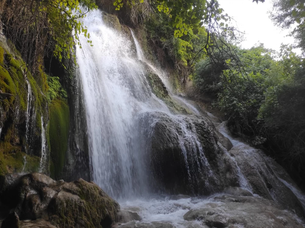  کوهمره سرخی شیراز