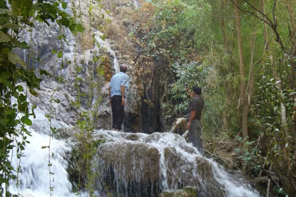 تصویر کوهمره سرخی شیراز