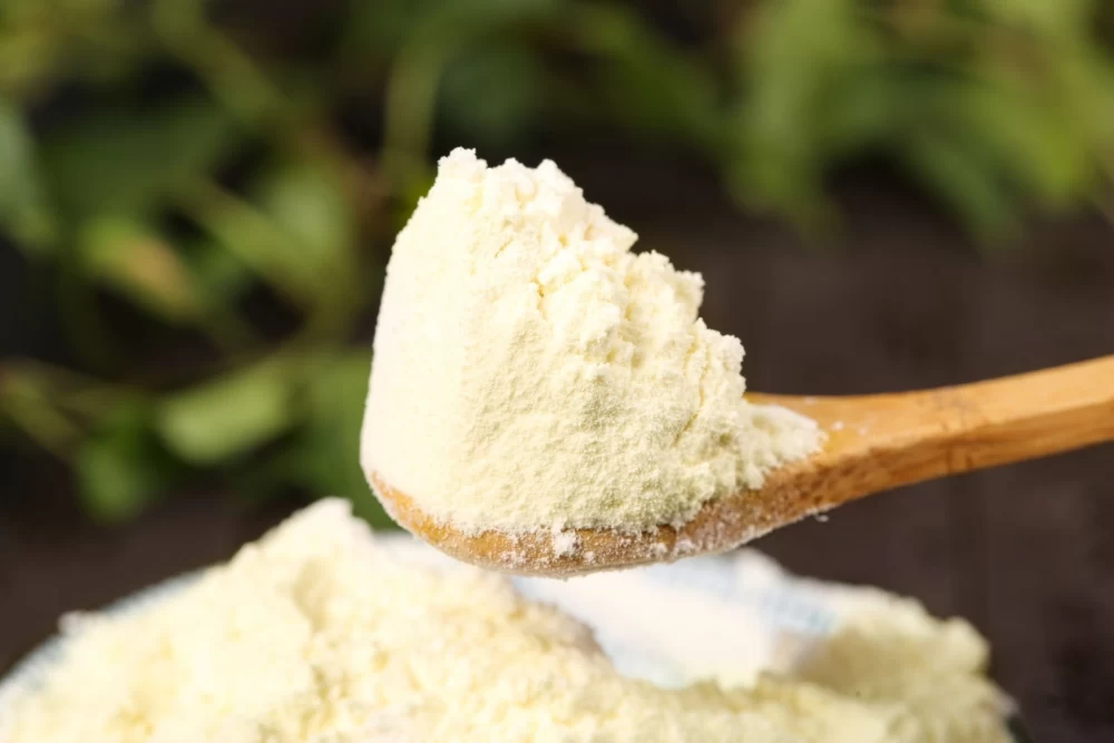 شیر خشک مخصوص گربه