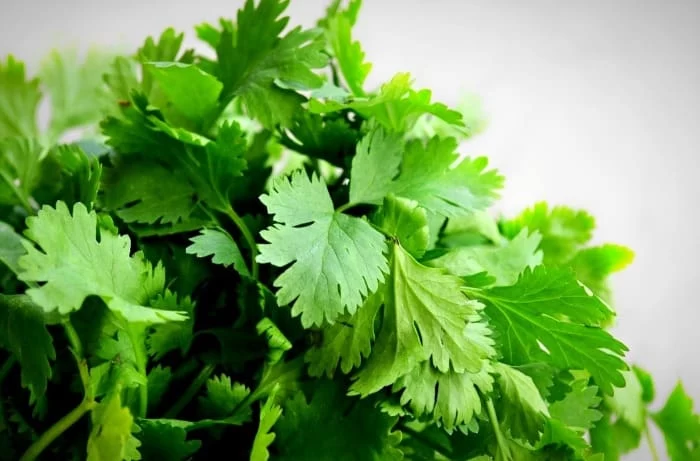 سبزی منجمد با کیفیت