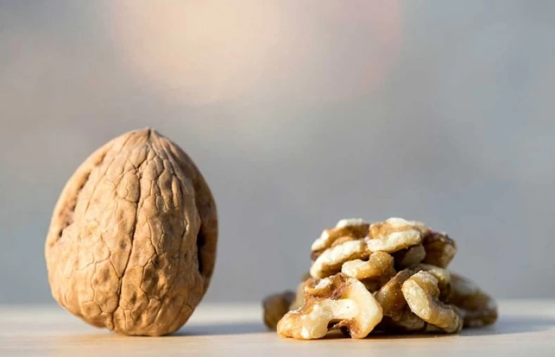 کاربردهای روغن پوست گردو