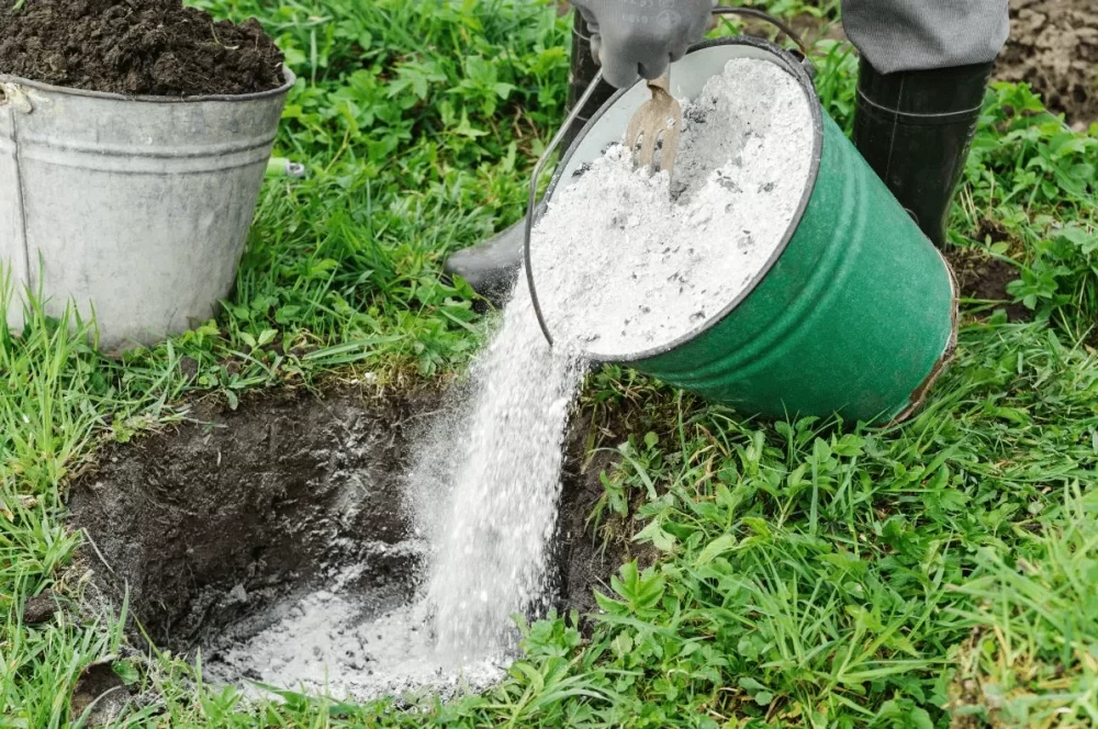 خواص خاکستر زغال برای گیاهان