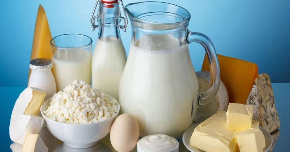 لبنیات گیاهی جایگزین لبنیات حیوانی