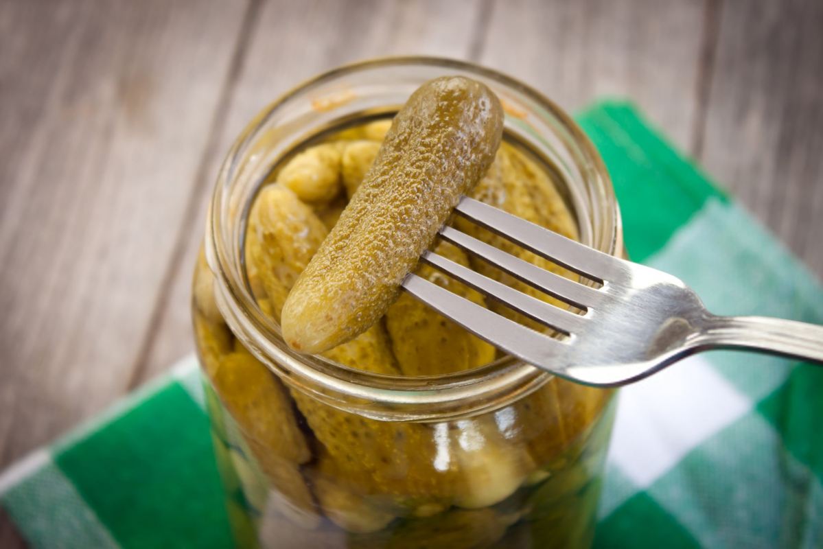 خیارشور تخمیری