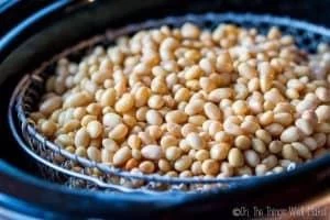 طرز تهیه سس سویا با دانه سویا در خانه