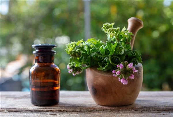 35 راه اصولی و تضمینی برای از بین بردن مگس در منزل