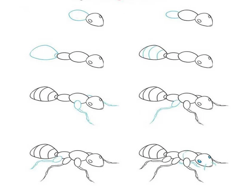 آموزش مرحله به مرحله نقاشی مورچه با 2 تا دایره