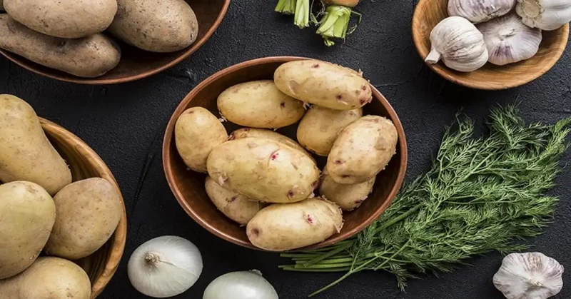 طرز تهیه دوپیازه سیب زمینی با رب گوجه