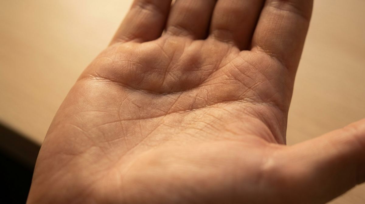 آموزش کامل کف بینی و رمزگشایی از 4 خط اصلی دست به زبان ساده