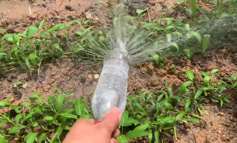 نحوه ساخت آبپاش بارانی با بطری نوشابه؛ آبیاری آسان و کم خرج برای باغچه