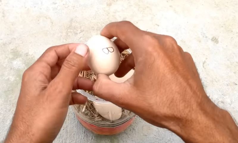 نحوه ساخت دستگاه جوجه کشی خانگی با جعبه پلاستیکی
