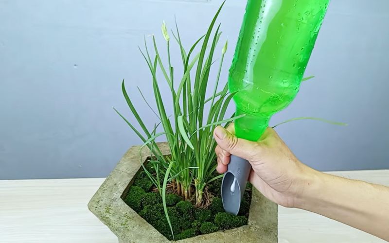 ساخت سیستم آبیاری قطره ای خانگی با بطری پلاستیکی