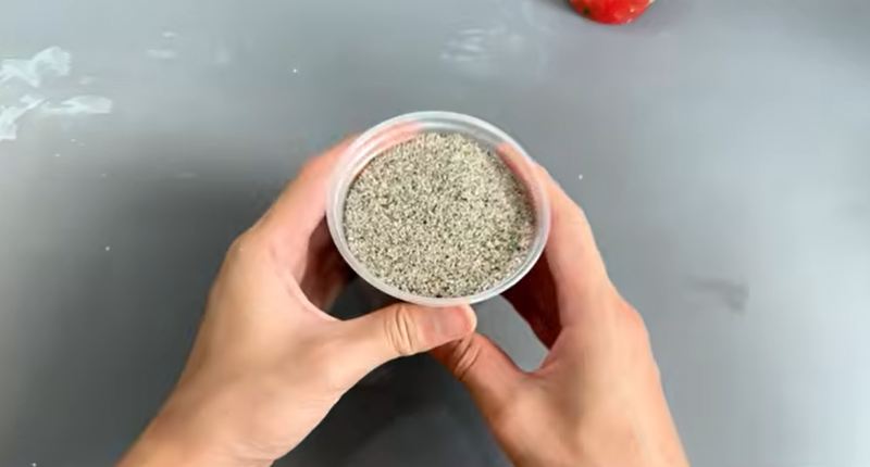 نحوه قلمه زدن و احیای شاخه گل رز پژمرده در ۷ روز