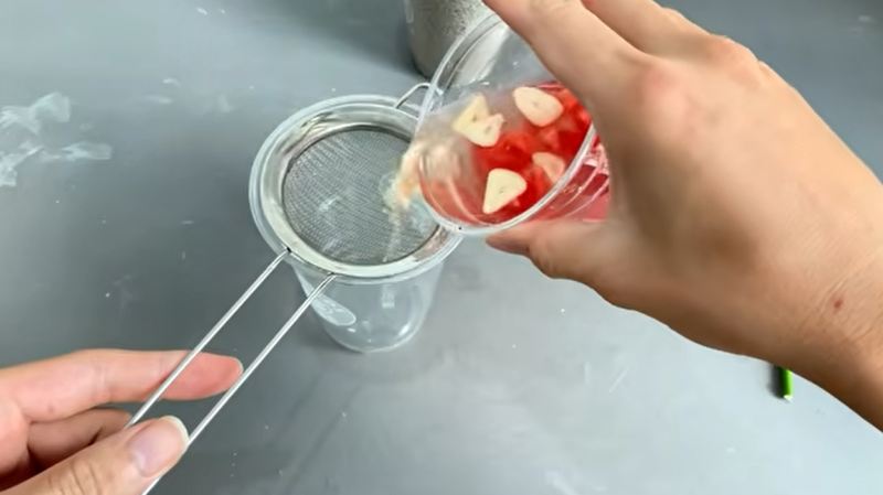 نحوه قلمه زدن و احیای شاخه گل رز پژمرده در ۷ روز