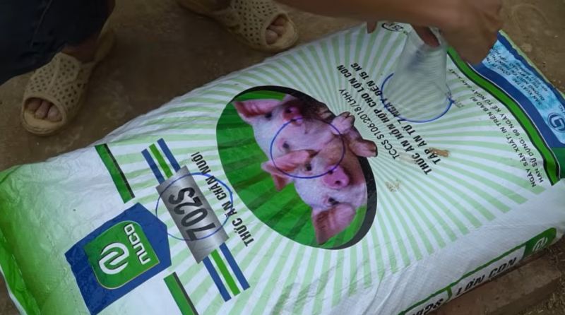 راهنمای کامل کاشت هندوانه شیرین و بزرگ در بالکن و پشت بام