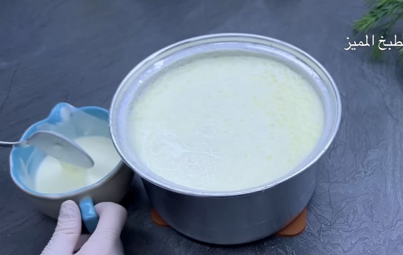 طرز تهیه ماست گوسفندی سفت و سنتی در خانه
