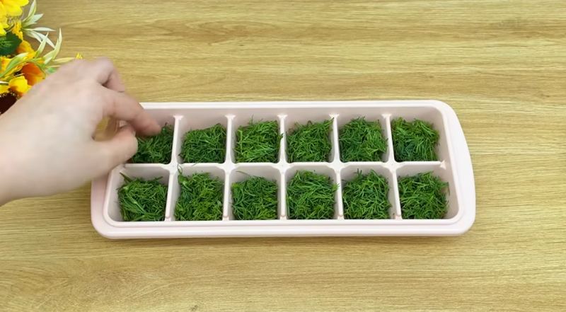 دیگه شوید خشک نکن / روش سریع استفاده از شوید بدون خشک کردن