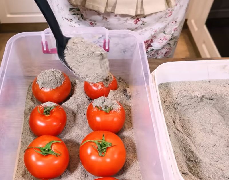 چگونه بدون برق و یخچال مواد غذایی را برای ماه ها تازه نگه داریم؟