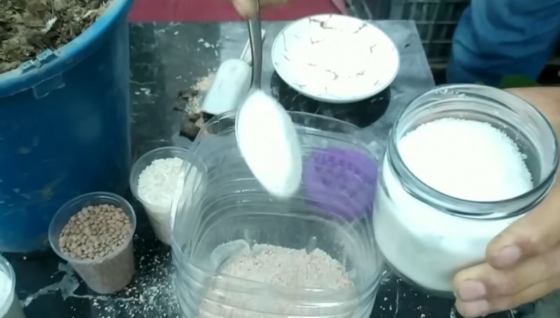 طرز تهیه کود ارگانیک ترکیبی برای رشد سریع و باردهی بی نظیر درخت انجیر
