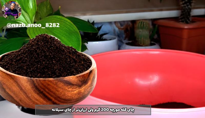 ترفند ترکیب چای اقتصادی و خوش رنگ برای یک سال با هزینه نیم کیلو چای
